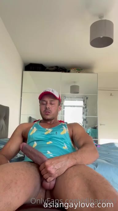 @dibarros1