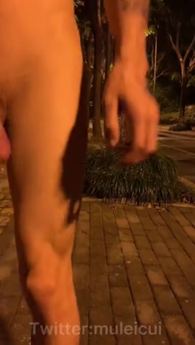 @muleicui