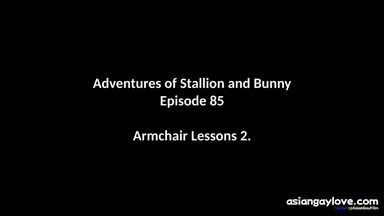 @stallion_bunny