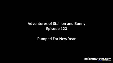 @stallion_bunny