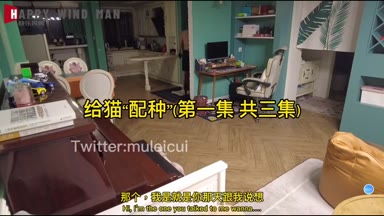 @muleicui