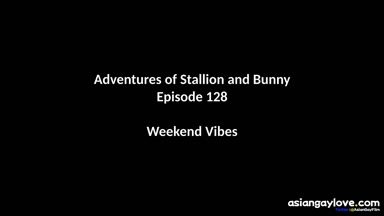 @stallion_bunny