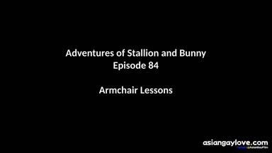 @stallion_bunny
