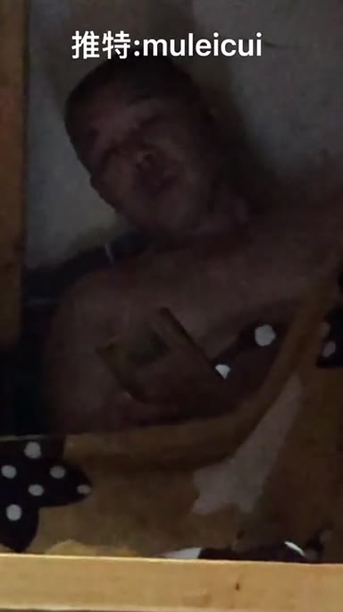 @muleicui