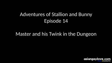 @stallion_bunny