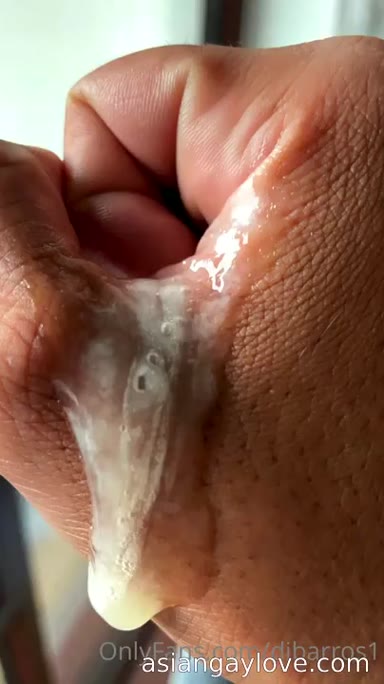 @dibarros1