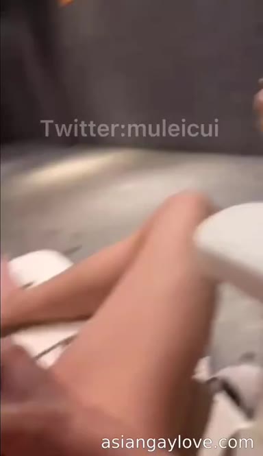 @muleicui