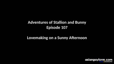 @stallion_bunny