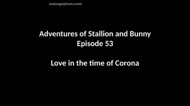 @stallion_bunny