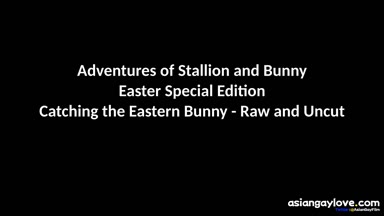 @stallion_bunny