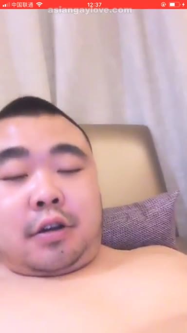 China_Bear