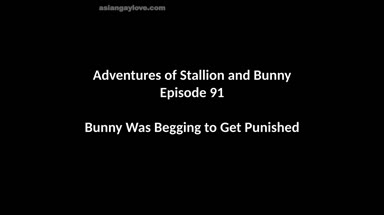 @stallion_bunny