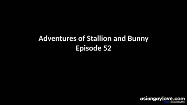@stallion_bunny