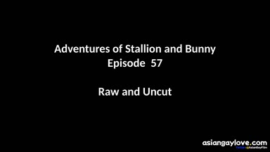 @stallion_bunny
