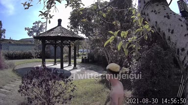 @muleicui