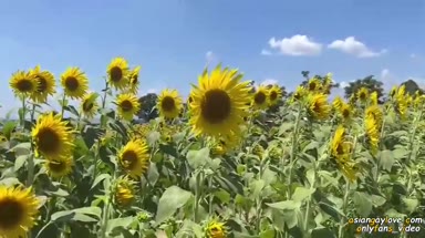 @ted55155