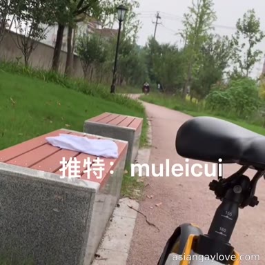 @muleicui