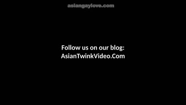 @stallion_bunny