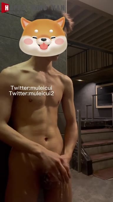 @muleicui