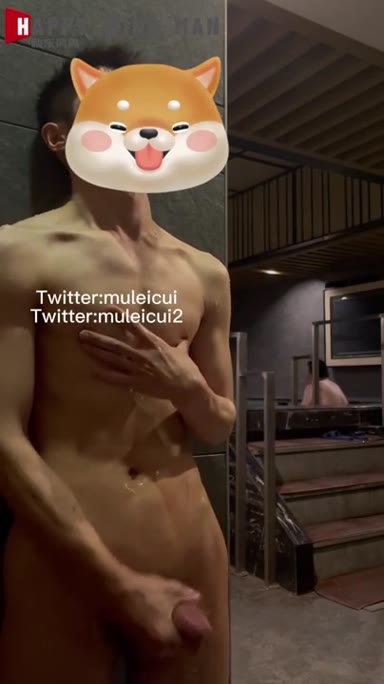 @muleicui