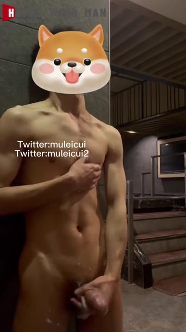 @muleicui