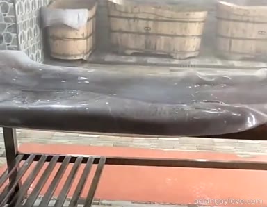 Chinese_Bathhouse_Spy_Cam