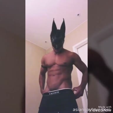 @dibarros1