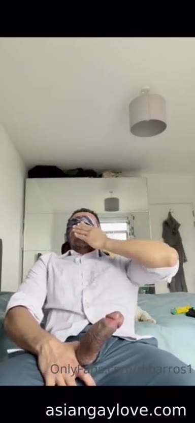 @dibarros1