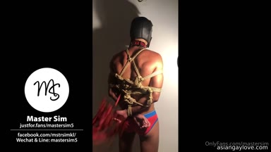 @mastersim
