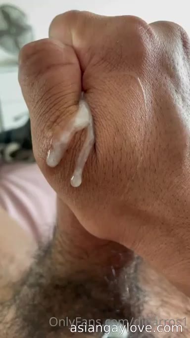 @dibarros1