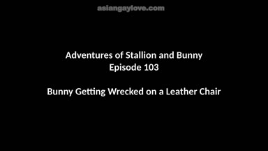 @stallion_bunny