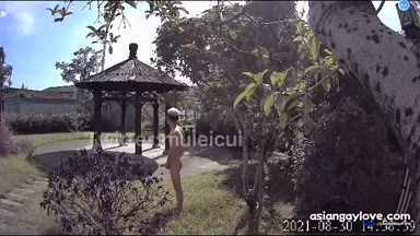 @muleicui
