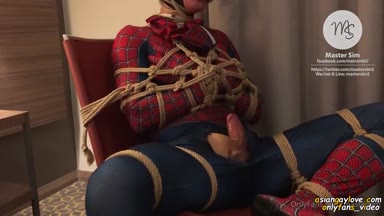 @mastersim