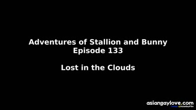 @stallion_bunny