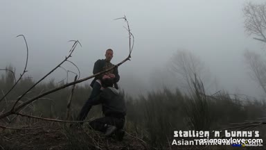 @stallion_bunny