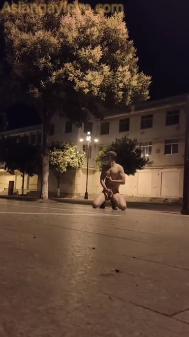 Asian_Gay_Fuck_Collection