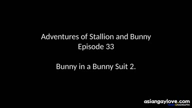 @stallion_bunny