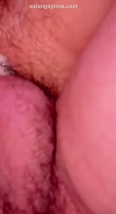 China_Bear