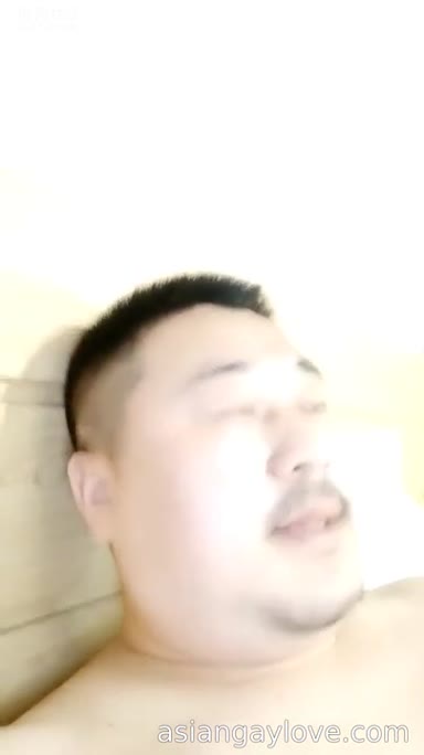 China_bear