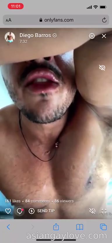 @dibarros1