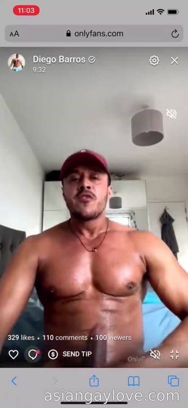 @dibarros1