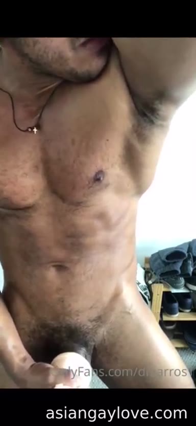 @dibarros1