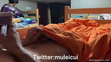 @muleicui