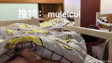 @muleicui