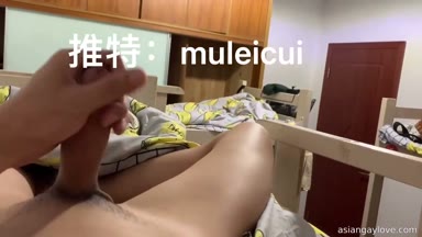 @muleicui