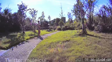 @muleicui