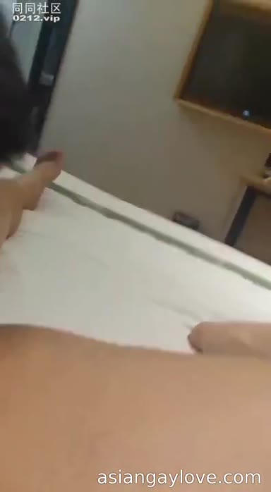 China_bear