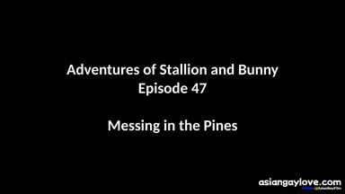 @stallion_bunny