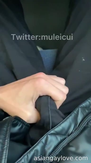 @muleicui