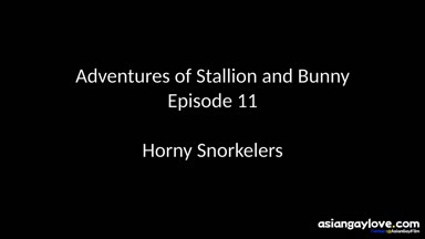 @stallion_bunny